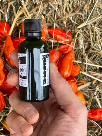 Hot Sauce “Gentleman’s Death Sauce” Bio 50 ml