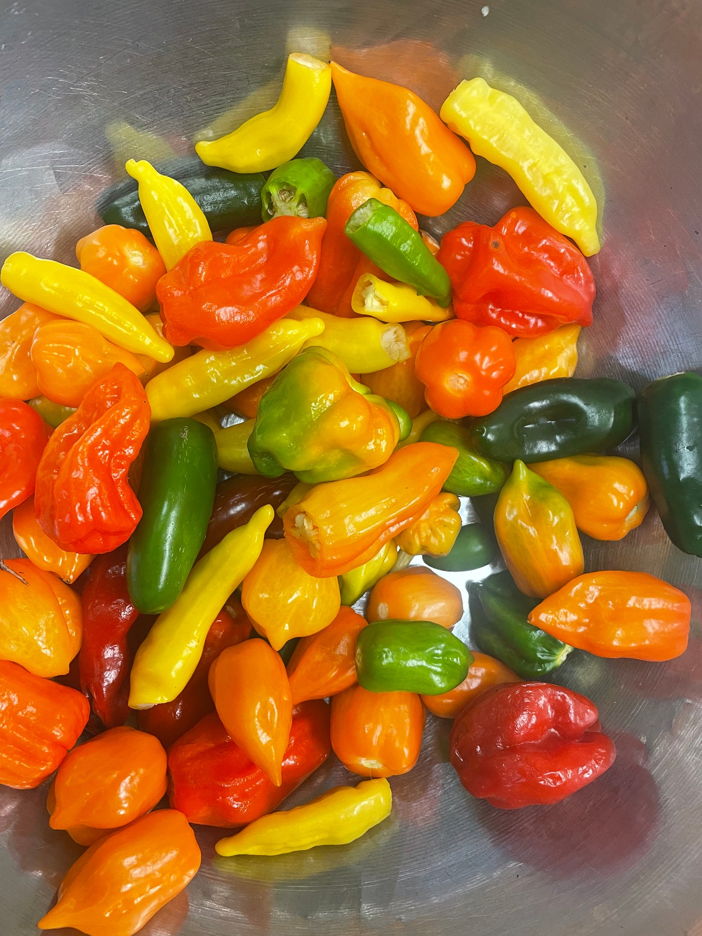 Chili Marmelade Bio 125 g