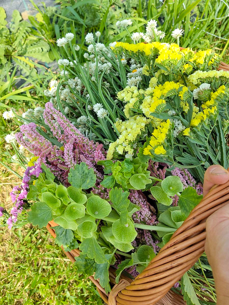 Bio Blumen