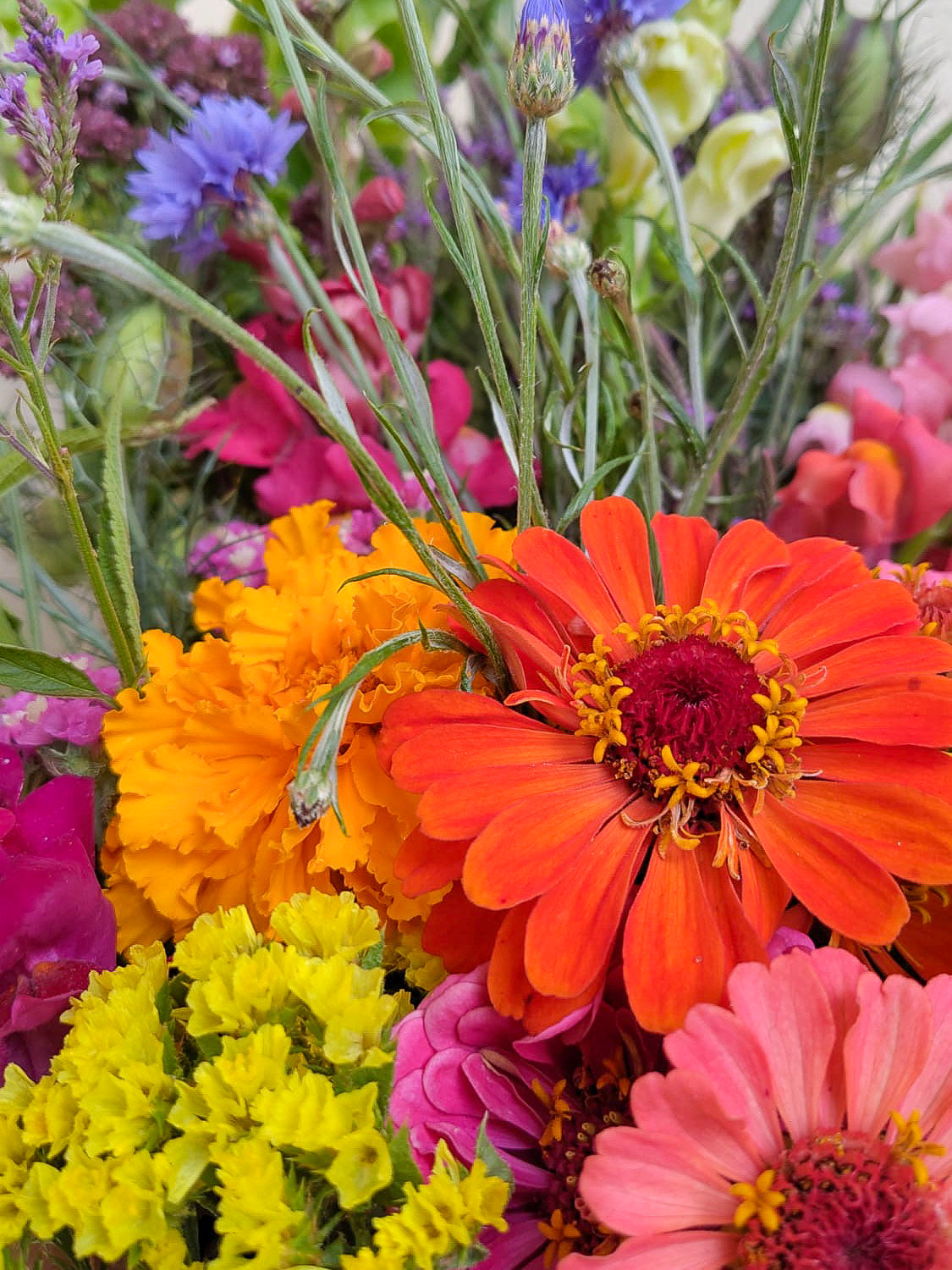 Bio Blumen
